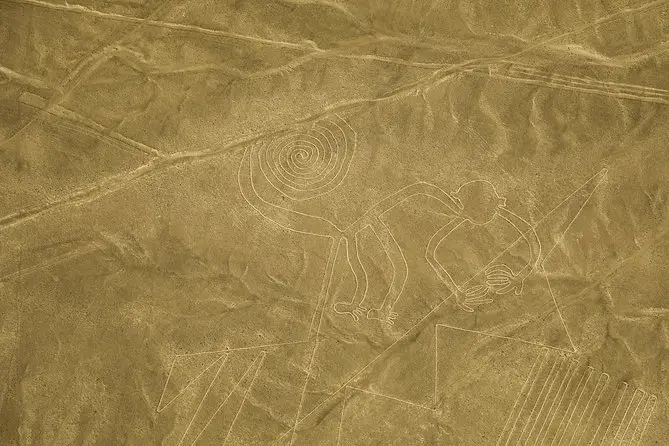 nazca lines monky