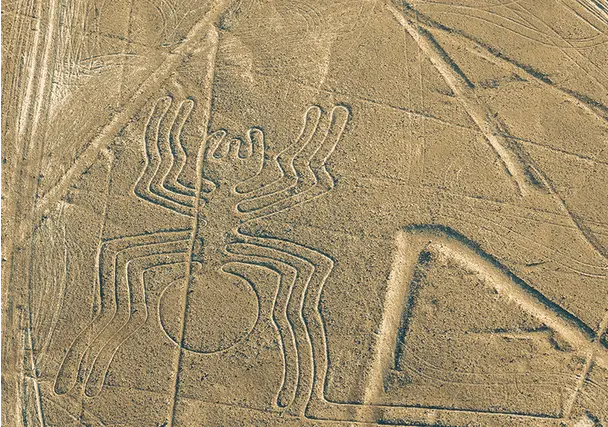nazca lines tours from cusco